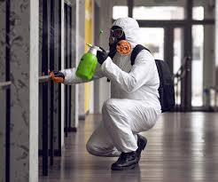 Mold Odor Removal Services in Bay Minette, AL